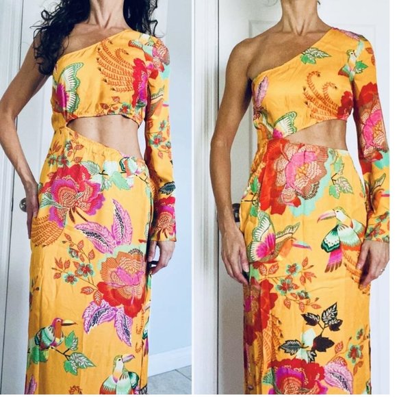 Farm x Anthropologie Single-Shoulder Printed Maxi Dress - Picture 4 of 5